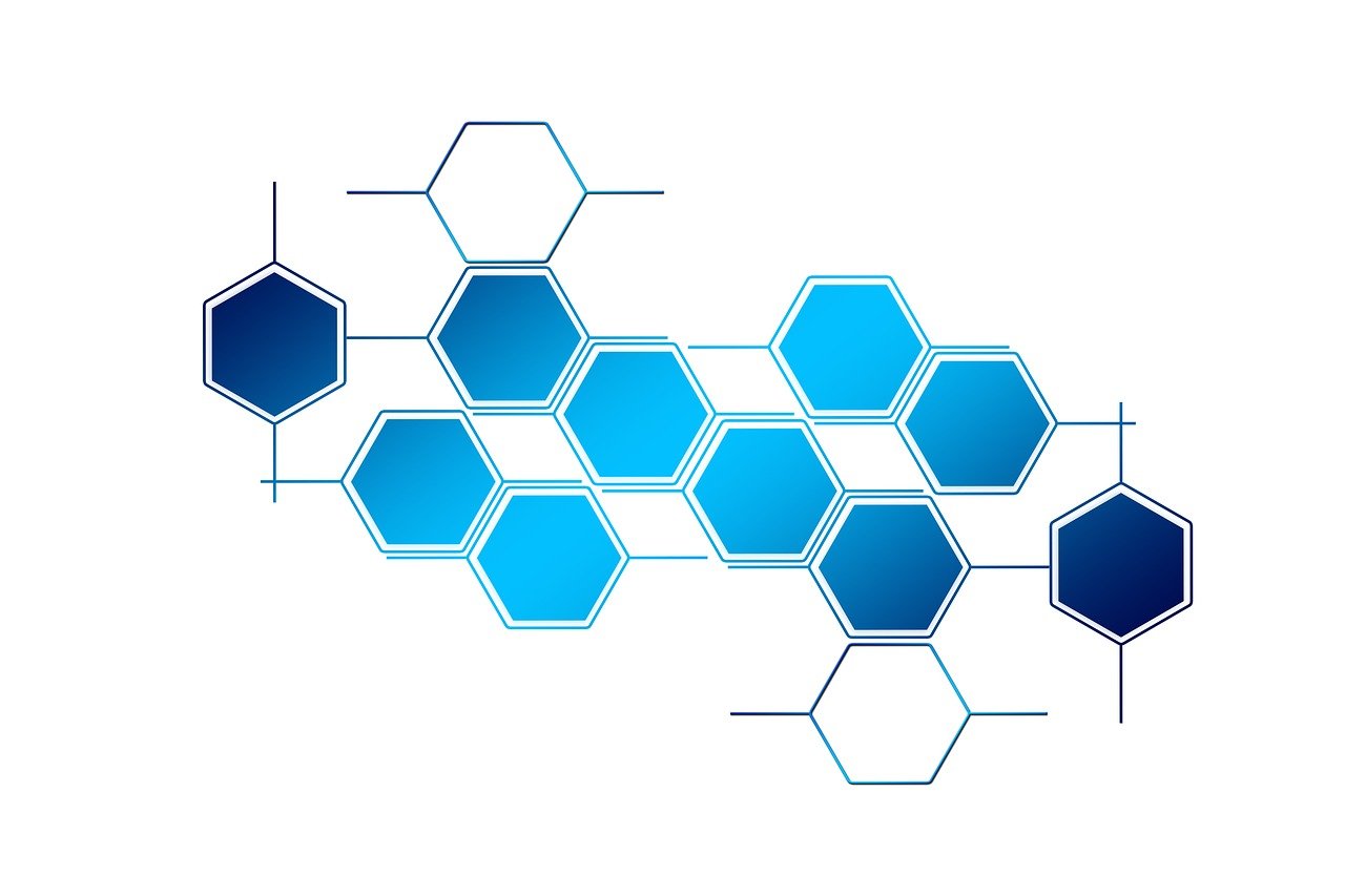 掌握搜索引擎优化（SEO）的要点，提升网站可见性与流量